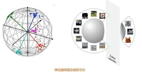 對比學習在CV與NLP領域的研究進展及自然科學應用