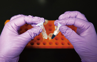 以創新為核，以實干為基 自然科學研發譜寫中國式現代化新篇章